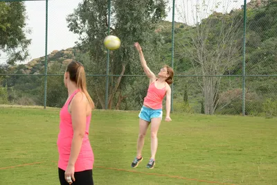 DSC_1461 (Large).JPG